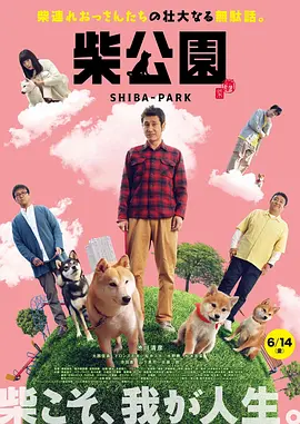 水卜樱一区二区av