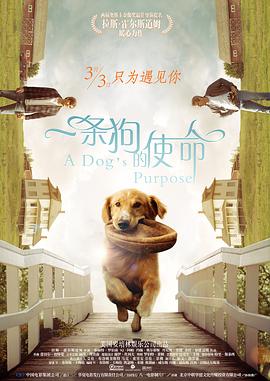 国产一区二区三区美女在线观看