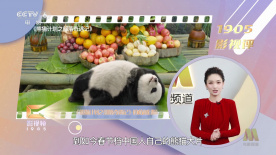 不良网站免费入口